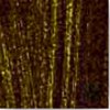 Gold Antique Brown