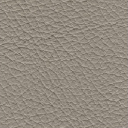 Grigio Perla