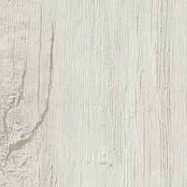 Rovere Gesso