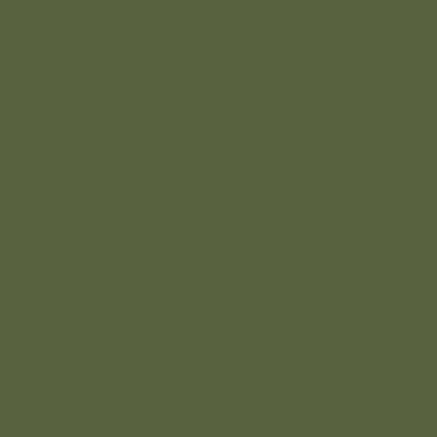Military Green Lacquered